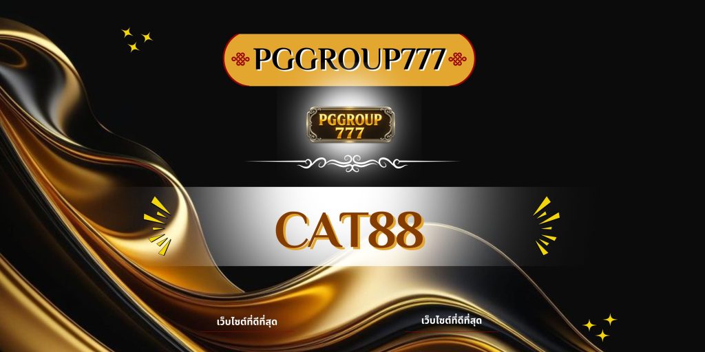 cat888